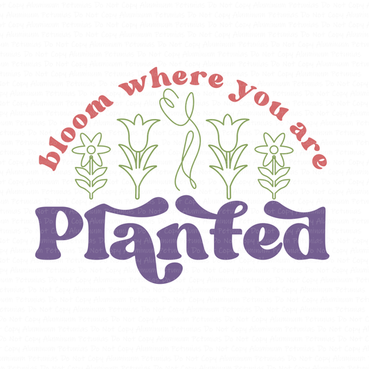 Bloom Where You Are Planted