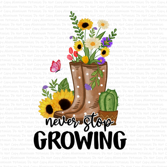 Never Stop Growing