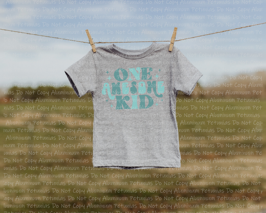 One Awesome Kid Youth Graphic Tee