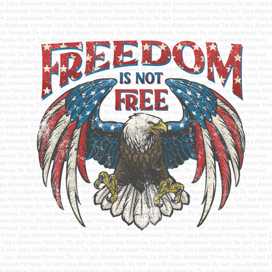 Freedom Is Not Free