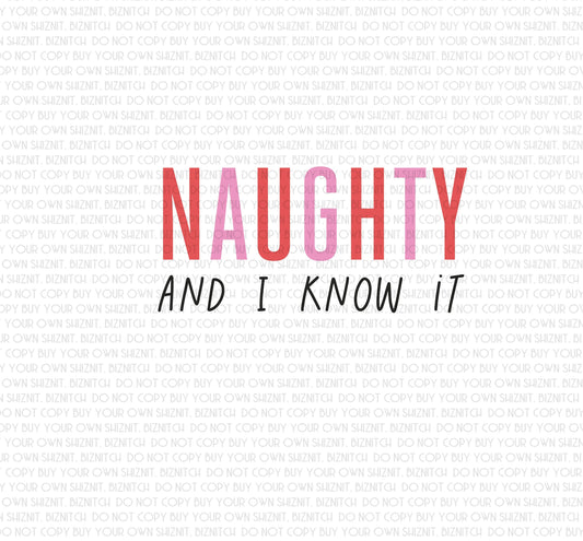 Naughty and I Know It DTF (Direct to Film) Transfers, Christmas DTF Transfer Ready to Press